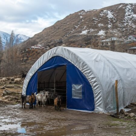 Hayvan Çadırı (6) (1)